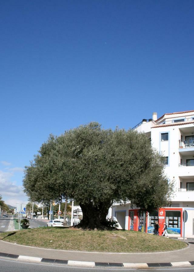 Appartement Monica Moraira Exterior photo